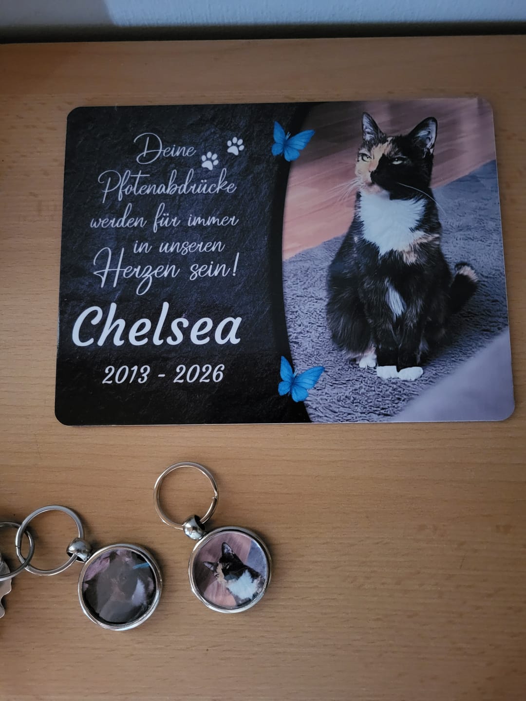 Customer photo review of Katzen Gedenktafel mit Foto & Spruch (UV- & Wetterfest)