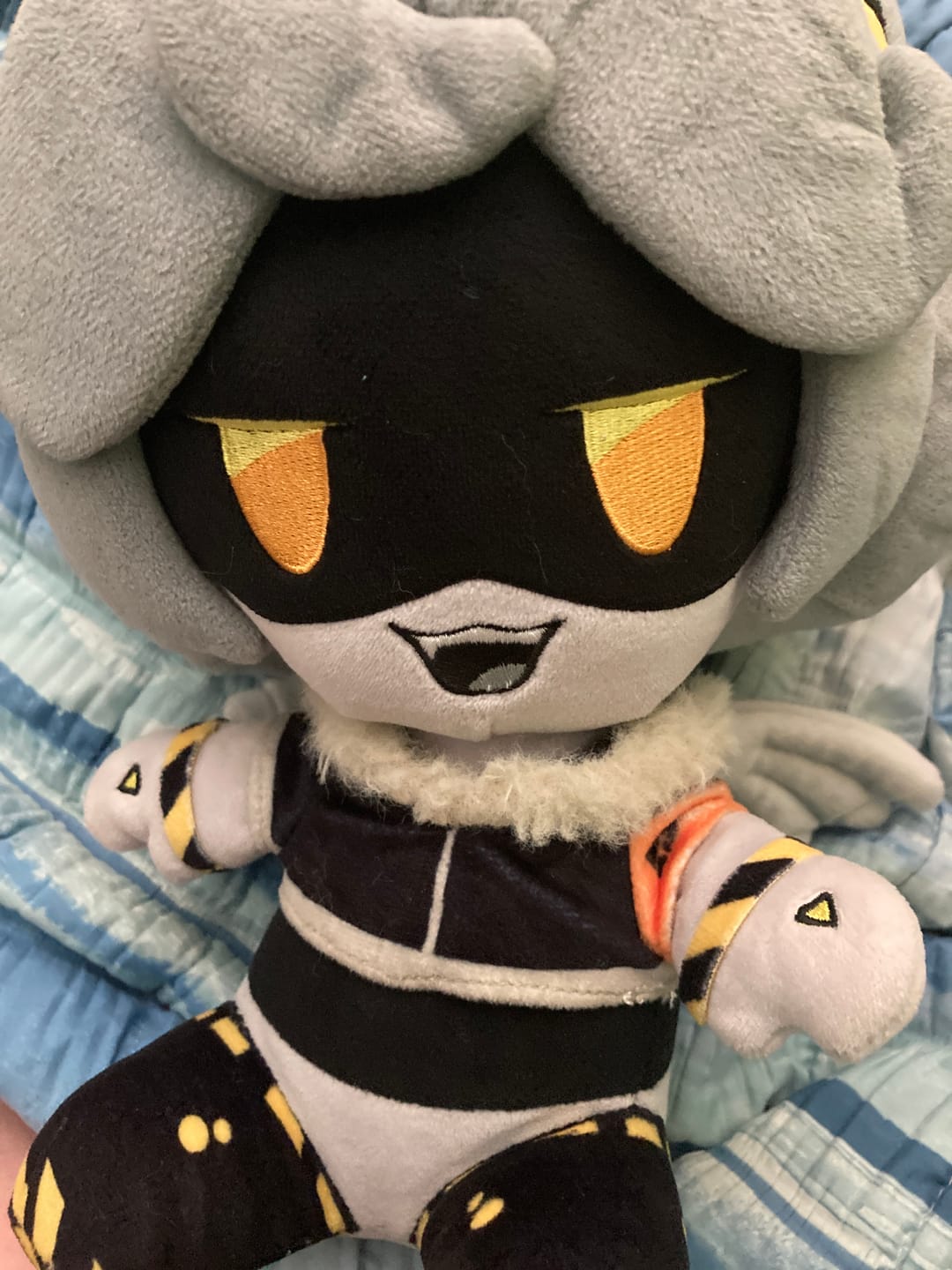 Customer photo review of V Plush
