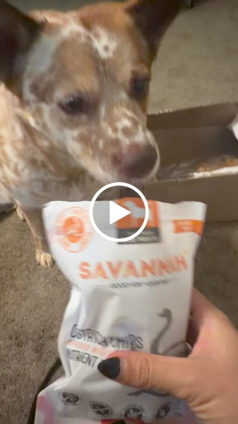 Customer video review of Functional Treats Bundle — All 6 Ostrich Superfood Treats, 40% Off