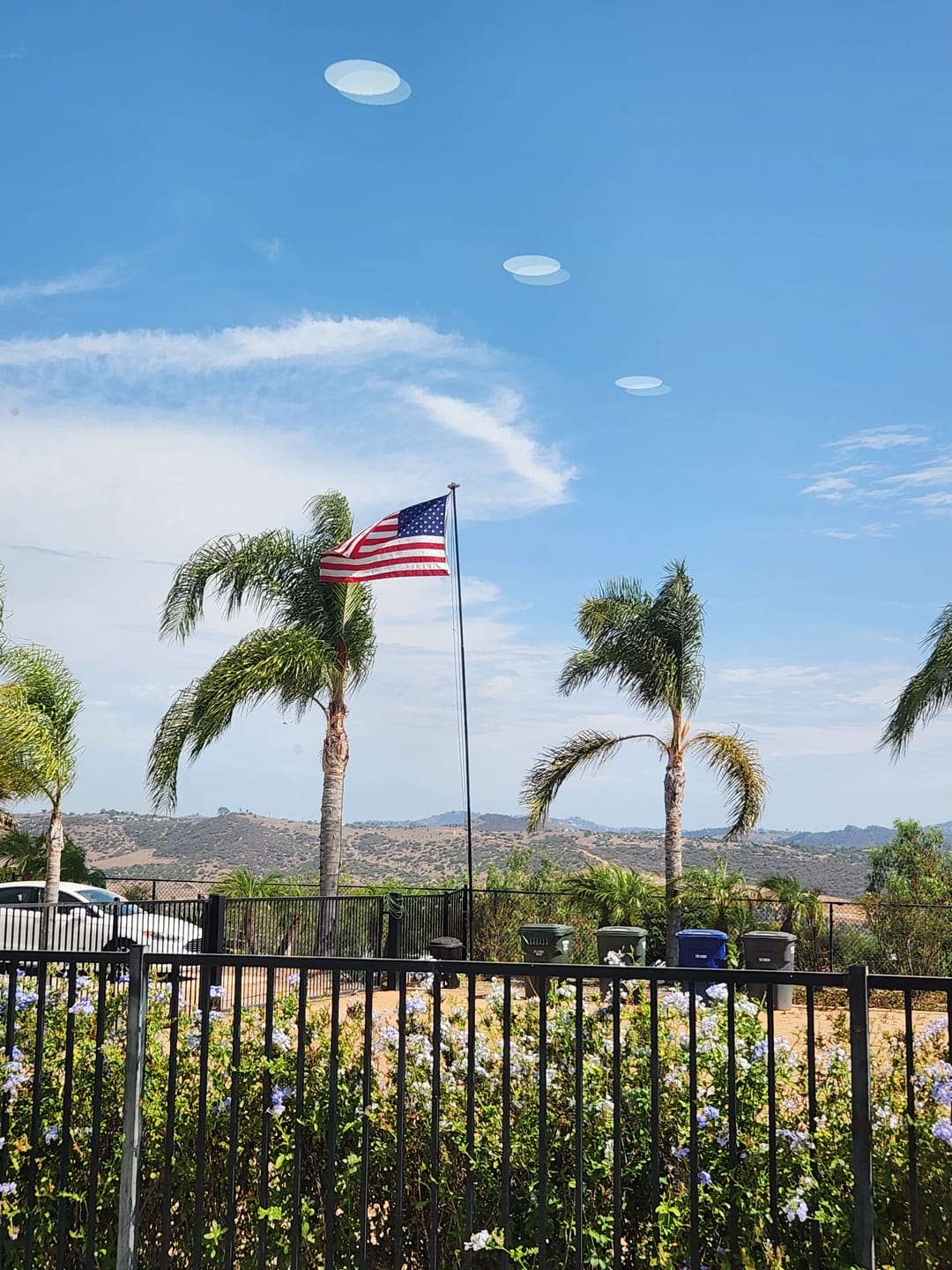 Customer photo review of 5' x 8' American Flag