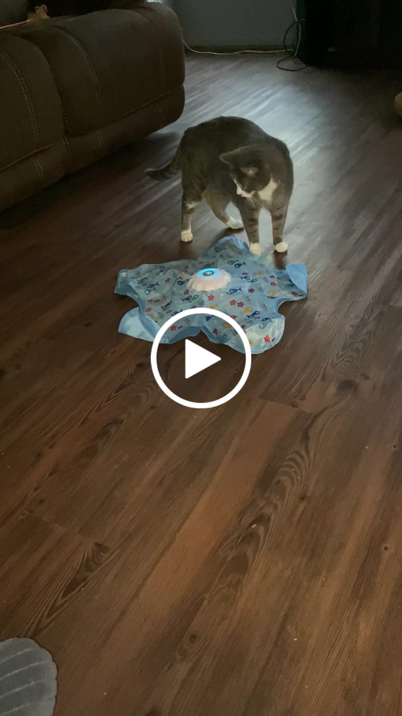 Customer video review of PEEKY TAIL 2.0