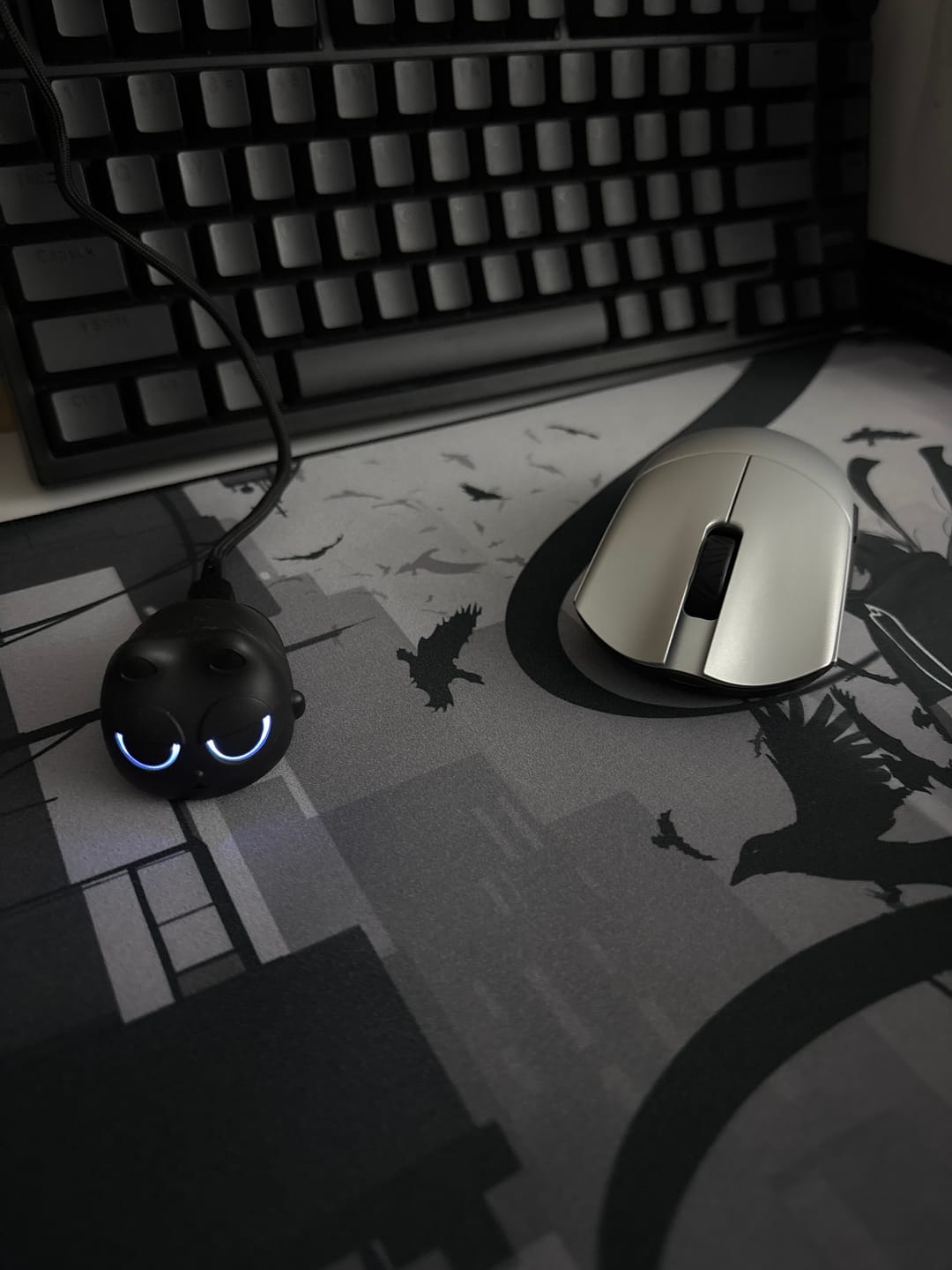 Customer photo review of WLMouse Beast G Mini Wireless Mouse