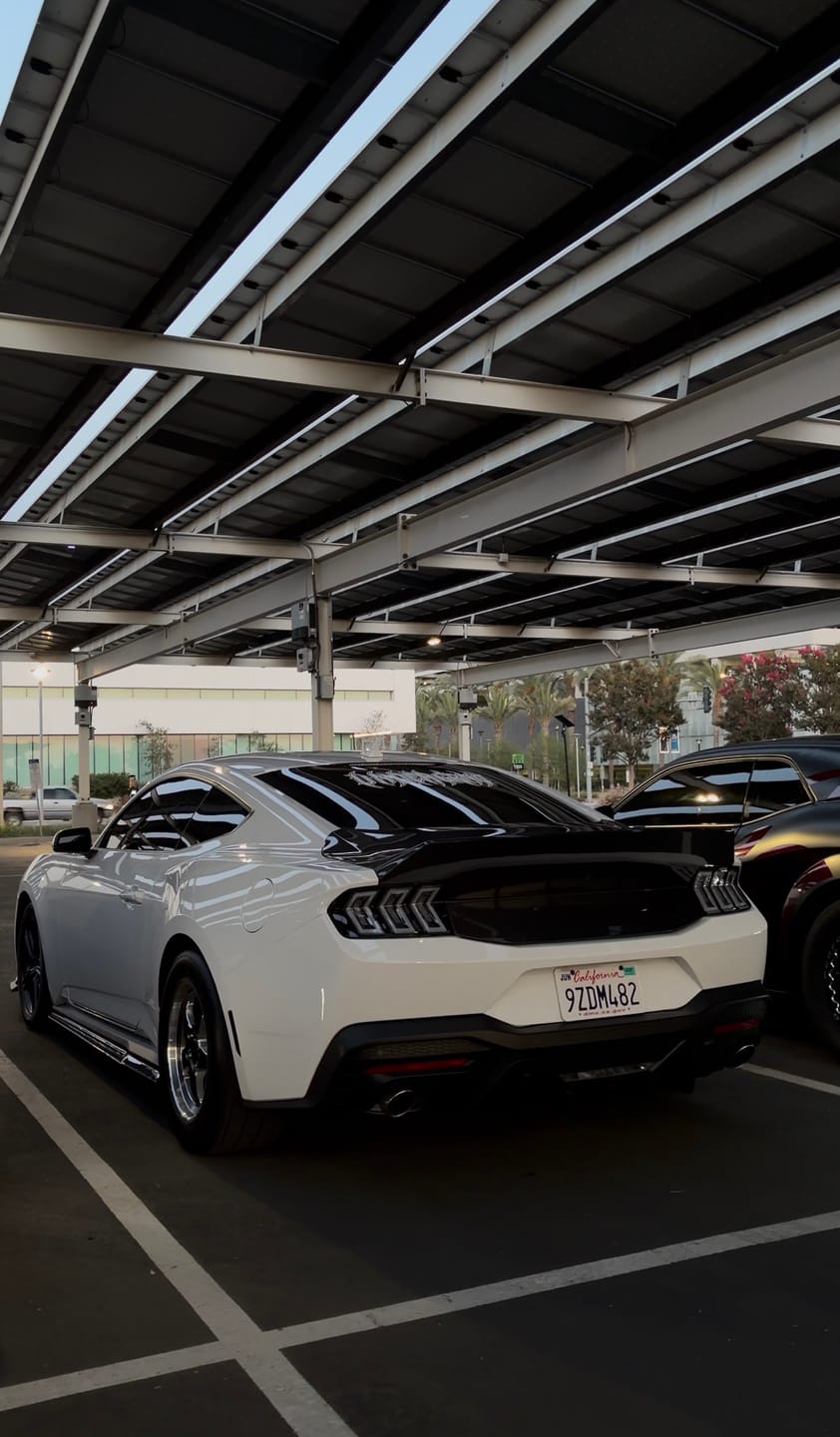 Customer photo review of 2024 + Ford Mustang Type-X Double Sided Carbon Fiber Trunk W/ Integrated Spoiler