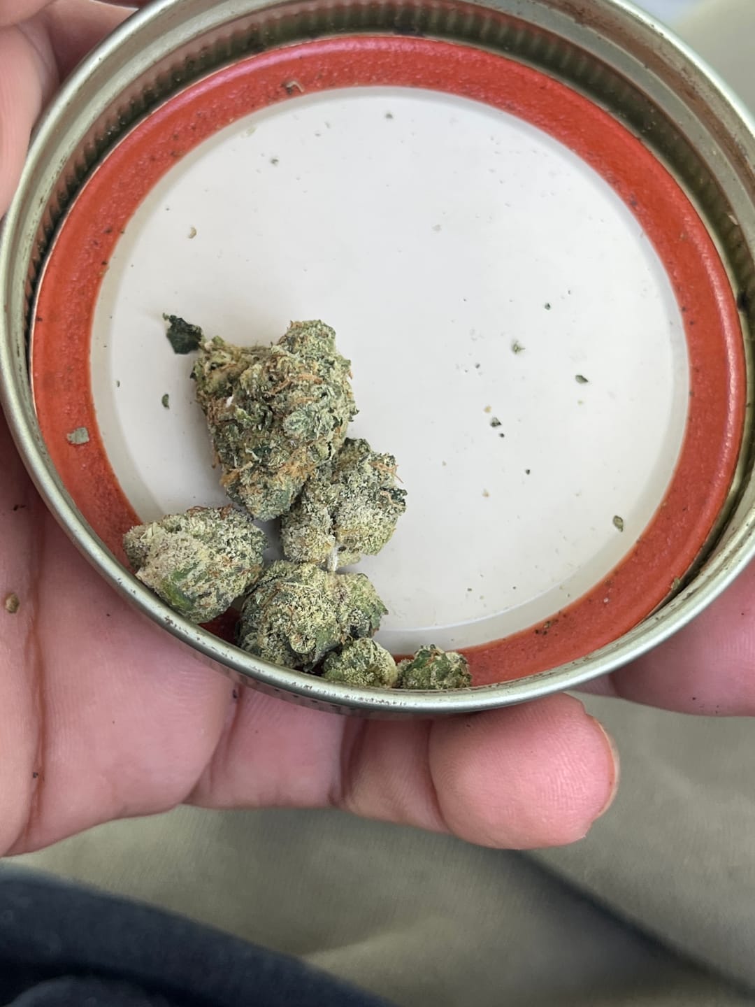 Customer photo review of MAC THCA Flower (Premium)