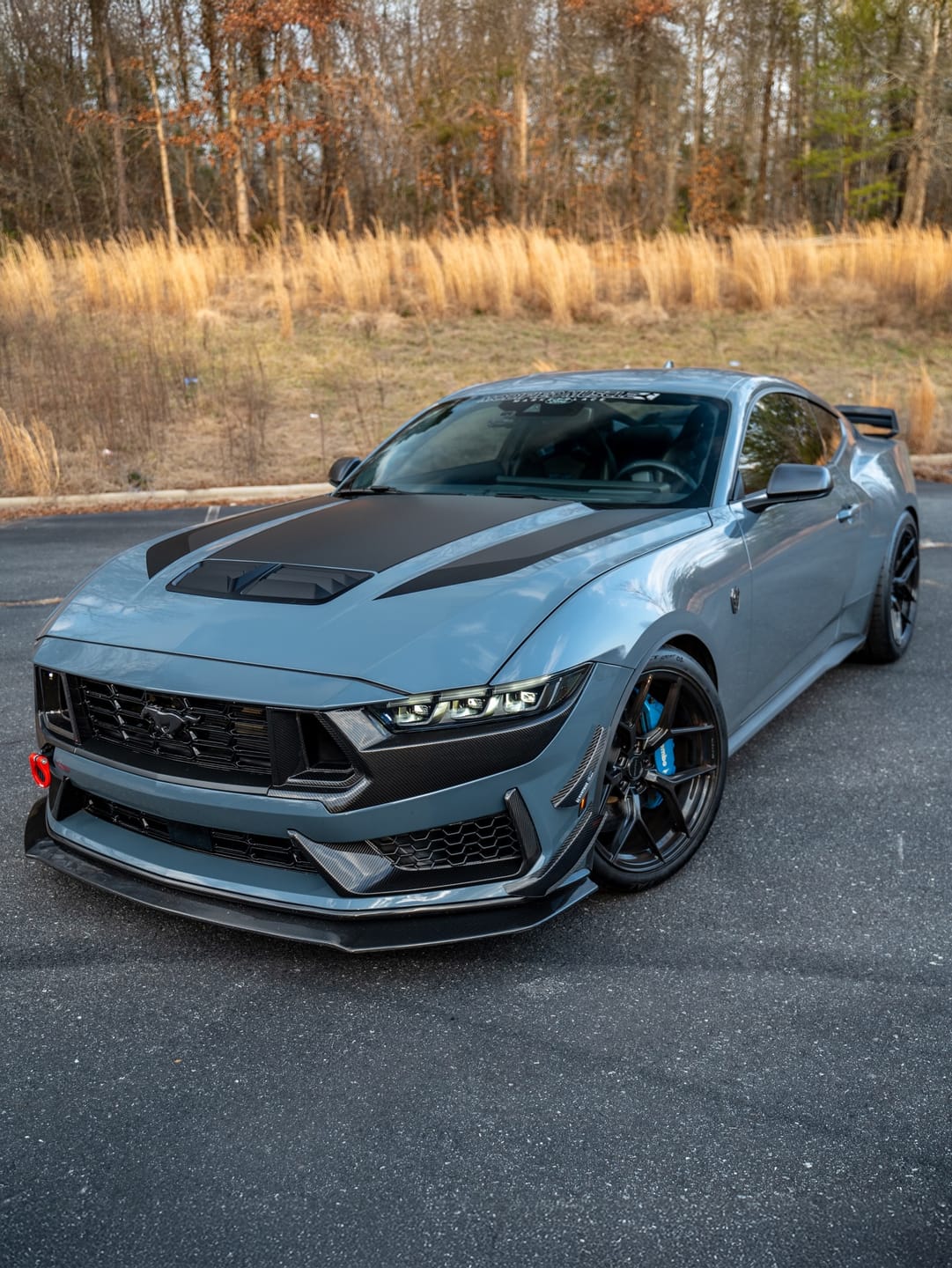 Customer photo review of Ford Carbon Fiber OEM Style Front Splitter for Mustang S650 Dark Horse