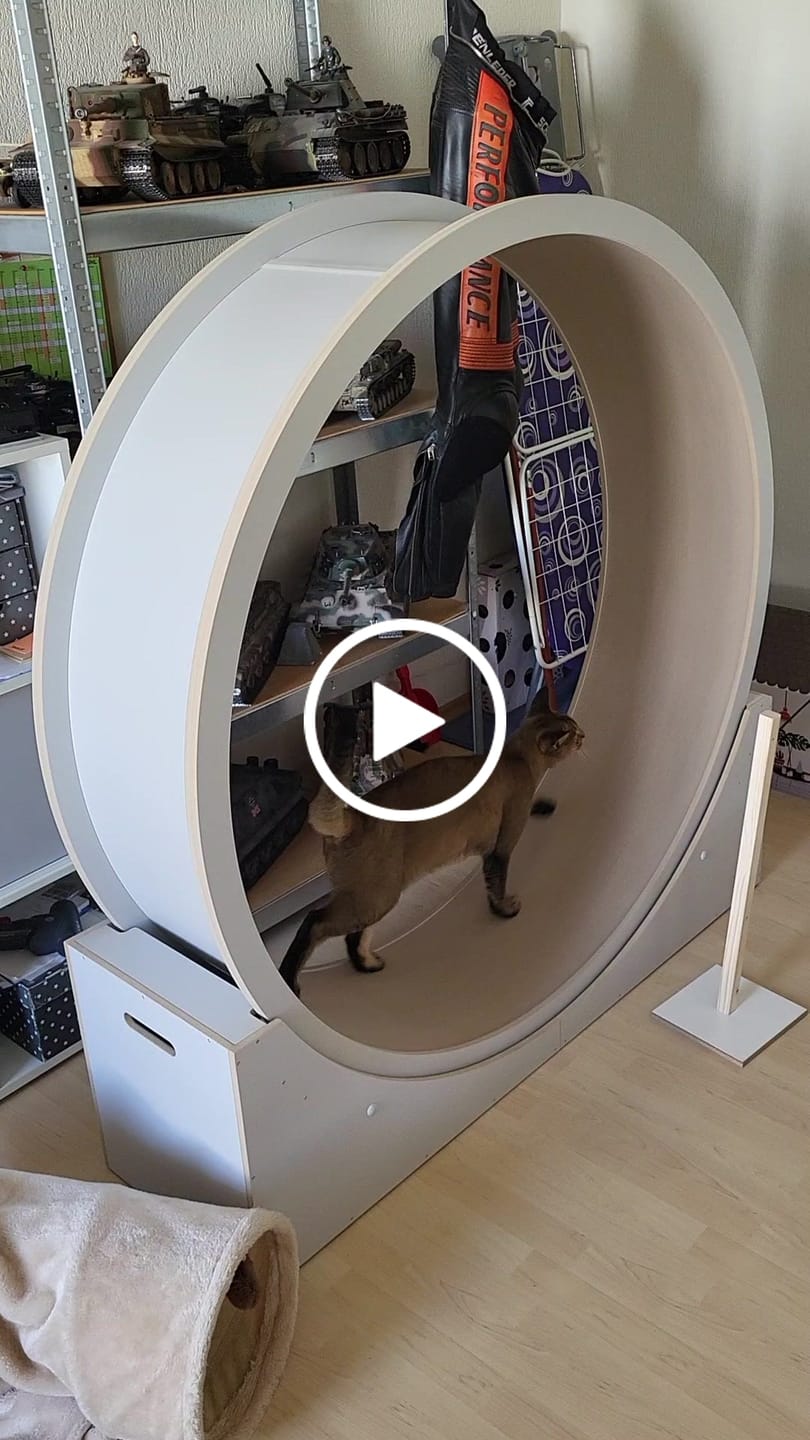 Customer video review of Sofort verfügbare Katzenlaufräder von ELMATO
