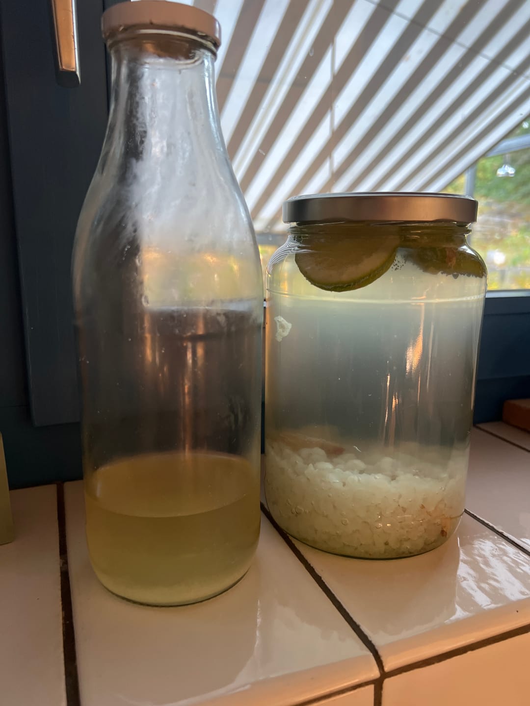 Customer photo review of Wasserkefir Starter-Set komplett Bio