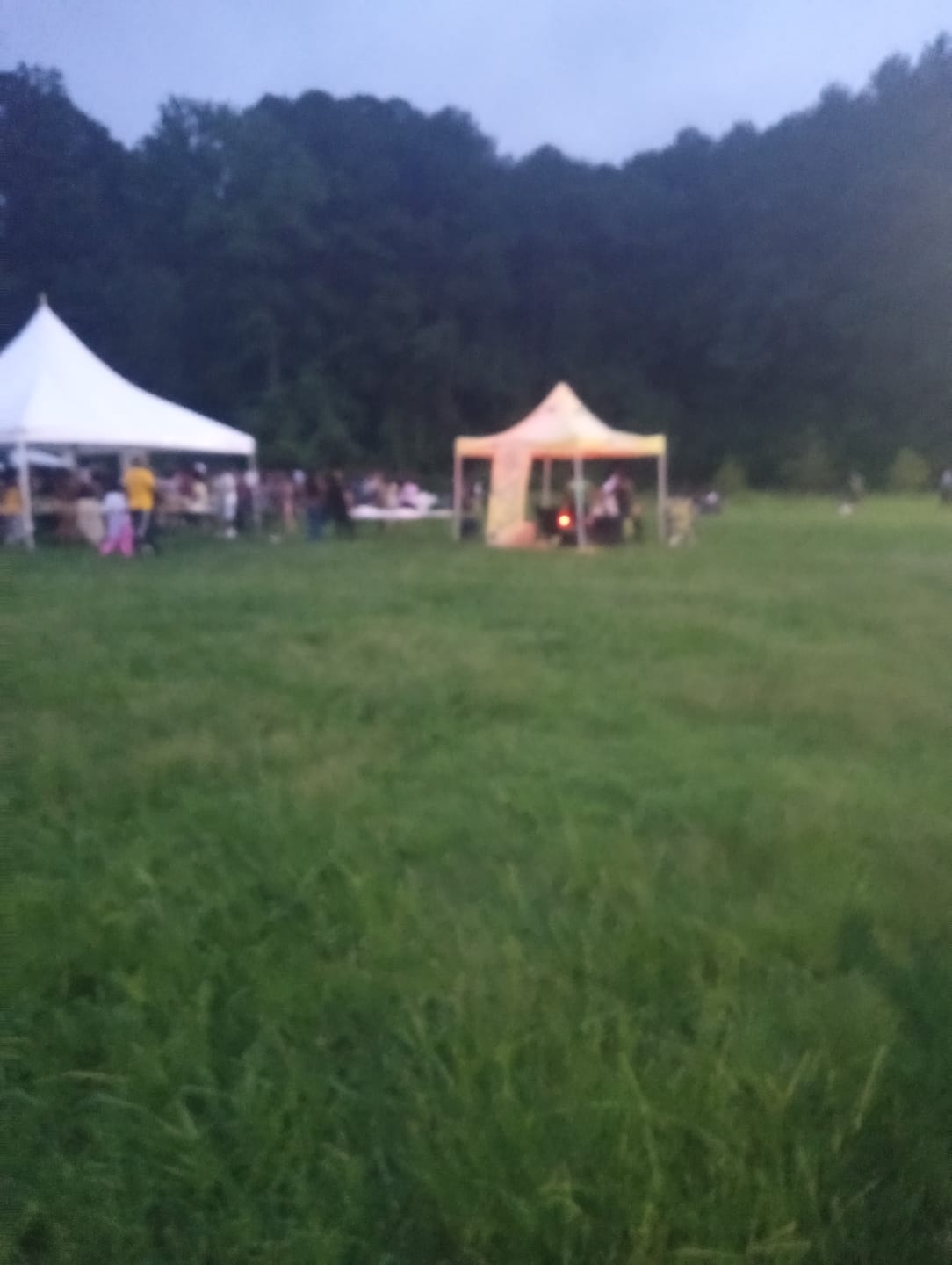 Customer photo review of Durham: One Love Festival