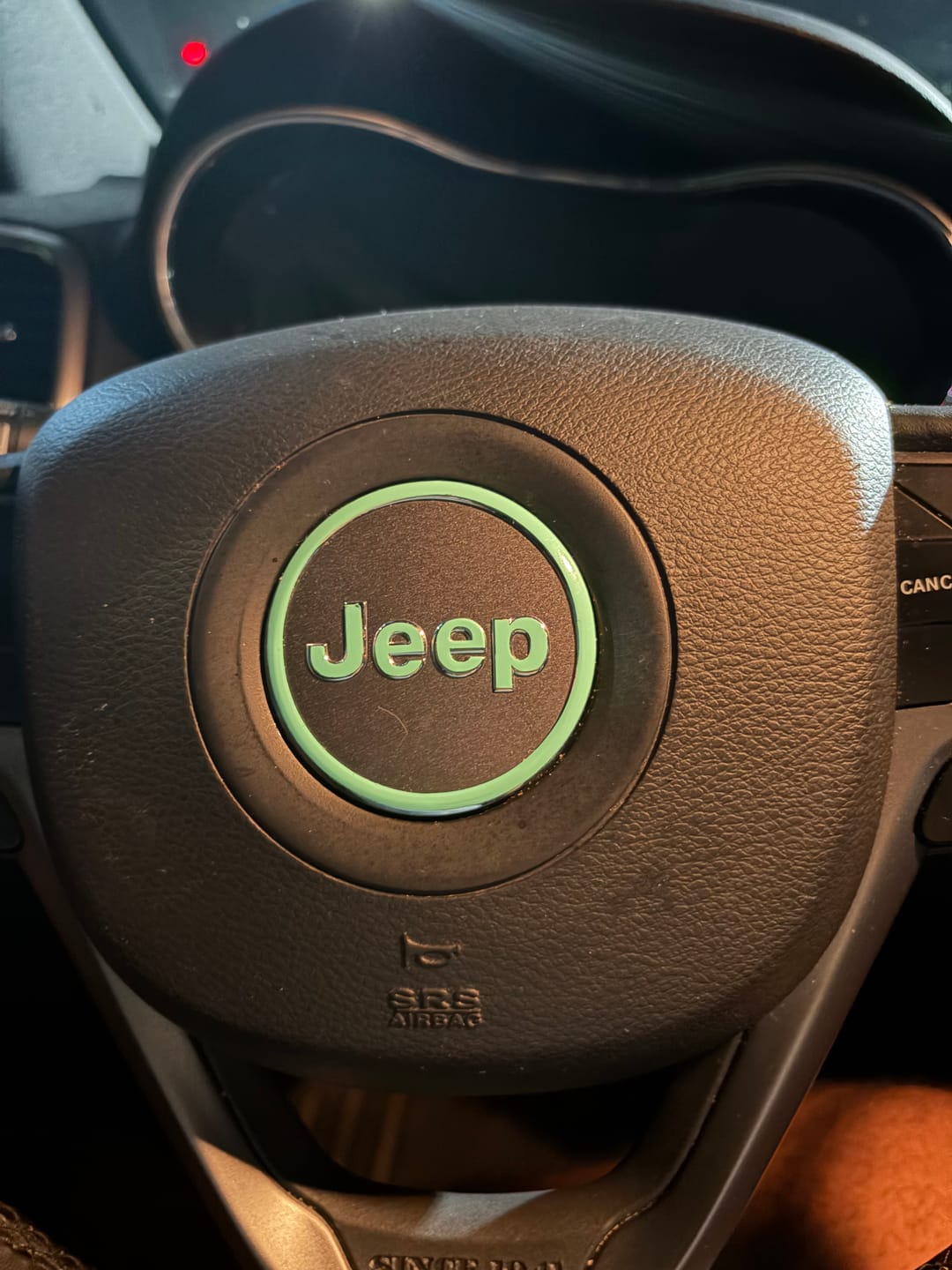 Customer photo review of JEEP Steering Wheel Emblem Overlay Decal — 30+ Colors & Designs (Flag, Topo, Animal, Solid)