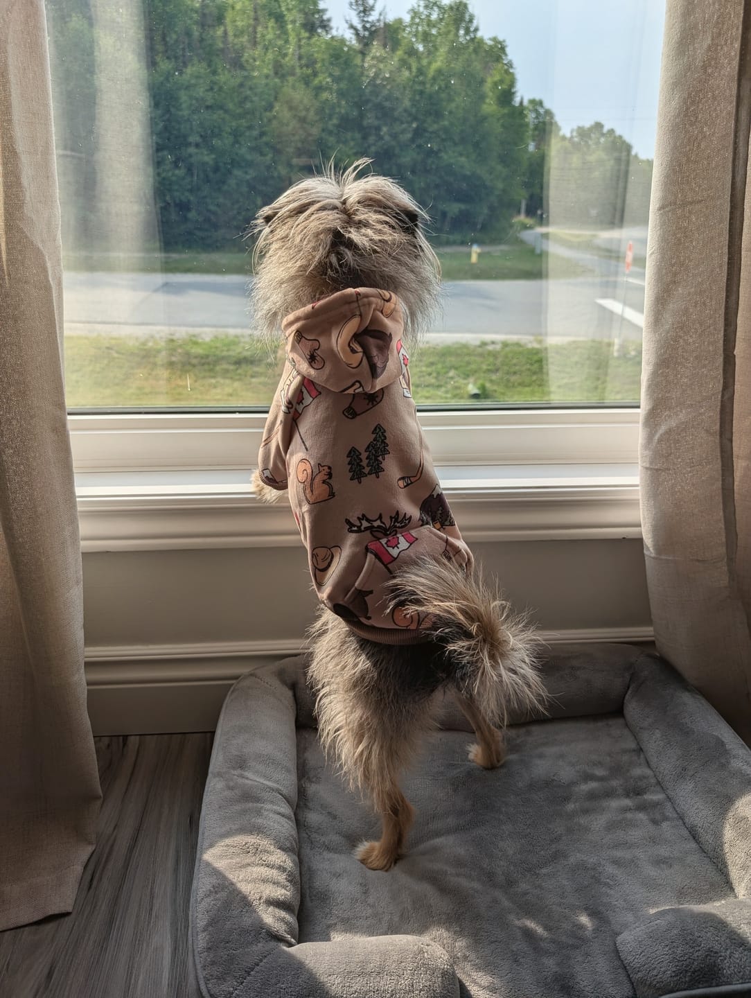 Customer photo review of The Canada Dog Hoodie