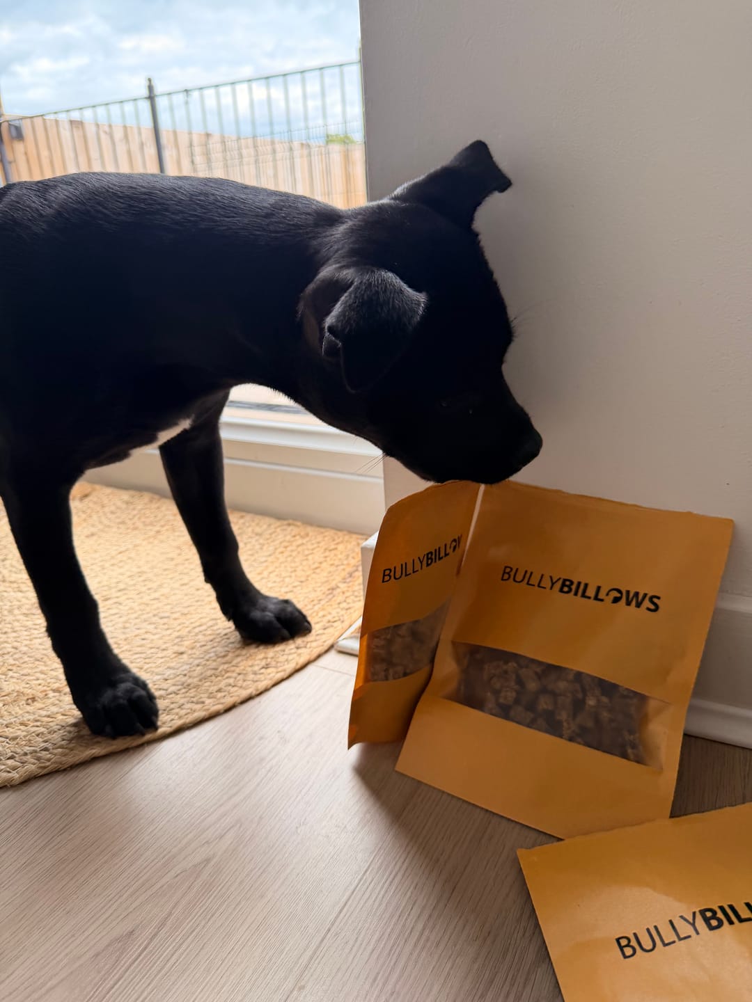 Customer photo review of Dog Training Treats - Beef - 100g