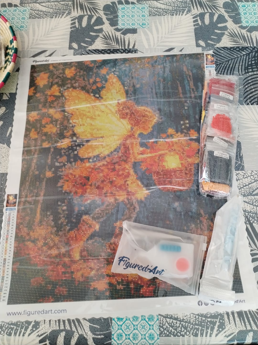 Customer photo review of Broderie Diamant - La fée collectionneuse de feuilles
