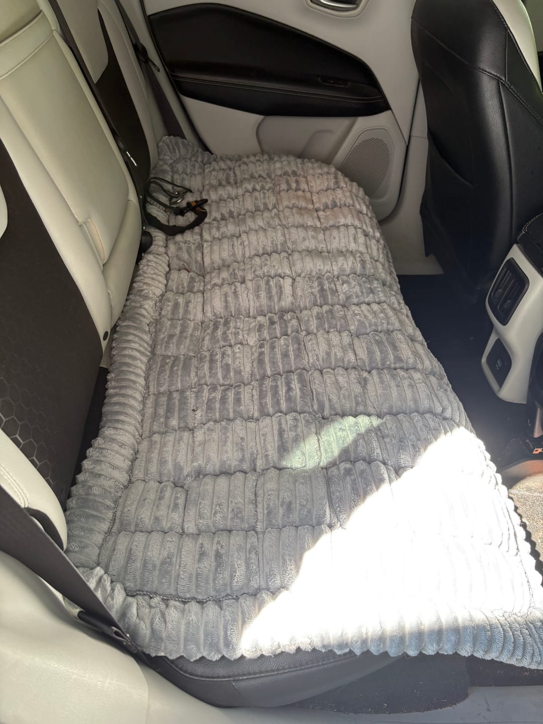 Customer photo review of Thickened Dog Bed for Car Back Seat & Couch