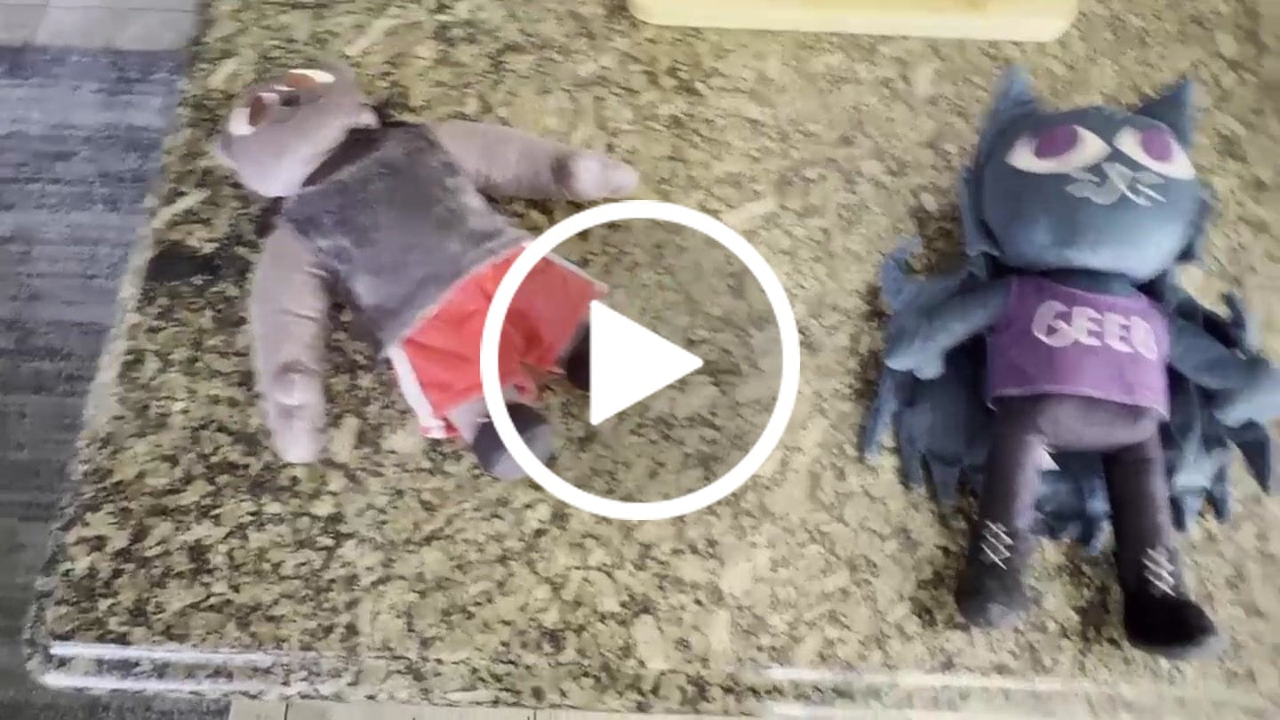 Customer video review of Original Character (OC) Design Plush