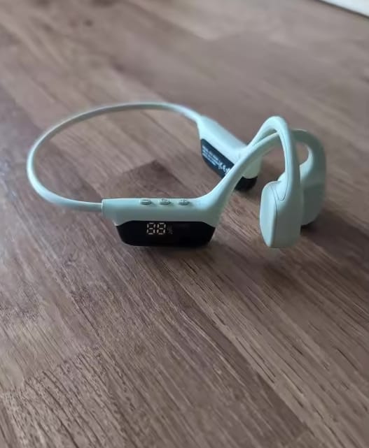 Customer photo review of AudiEar - Earphones