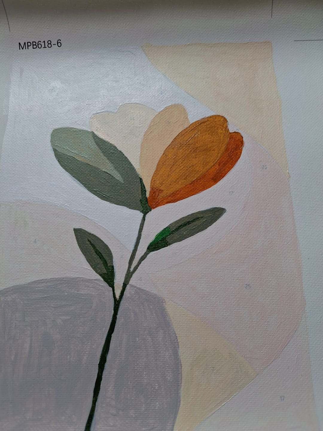 Customer photo review of 6 Mini Paintings - Botanical Set