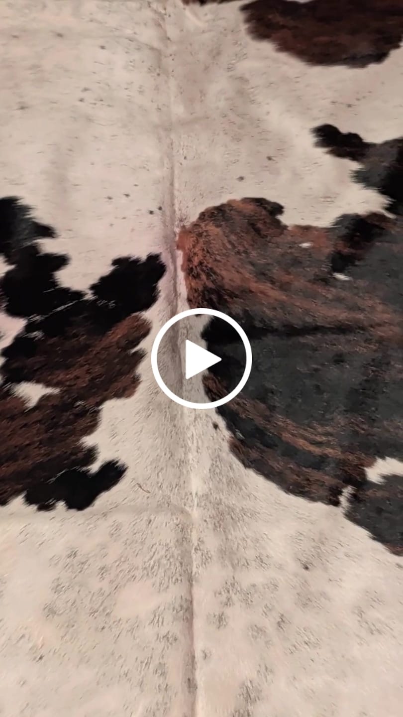 Customer video review of SUPER SALE Tricolor Natural Cowhide Rug - Large 6'7"H x 6'0"W