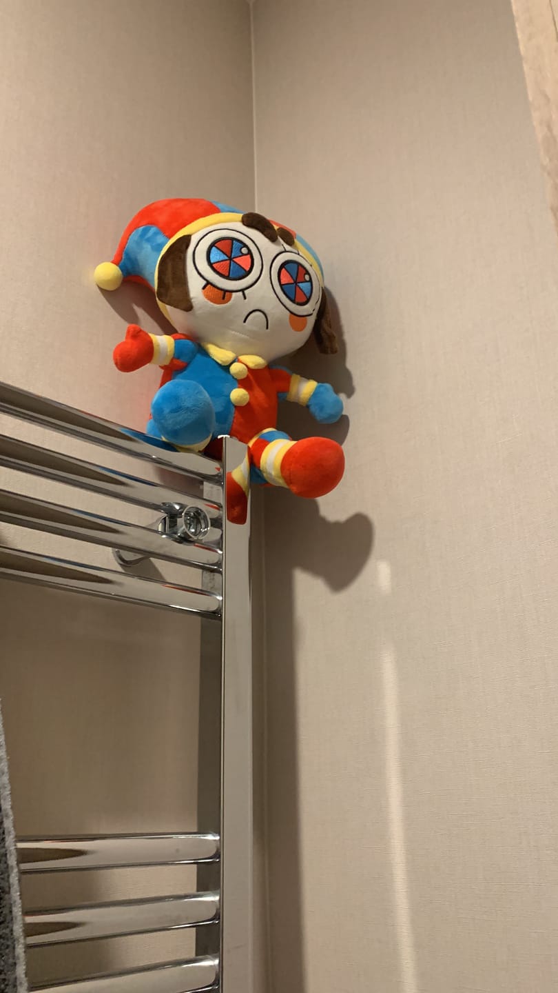 Customer photo review of Pomni Plush