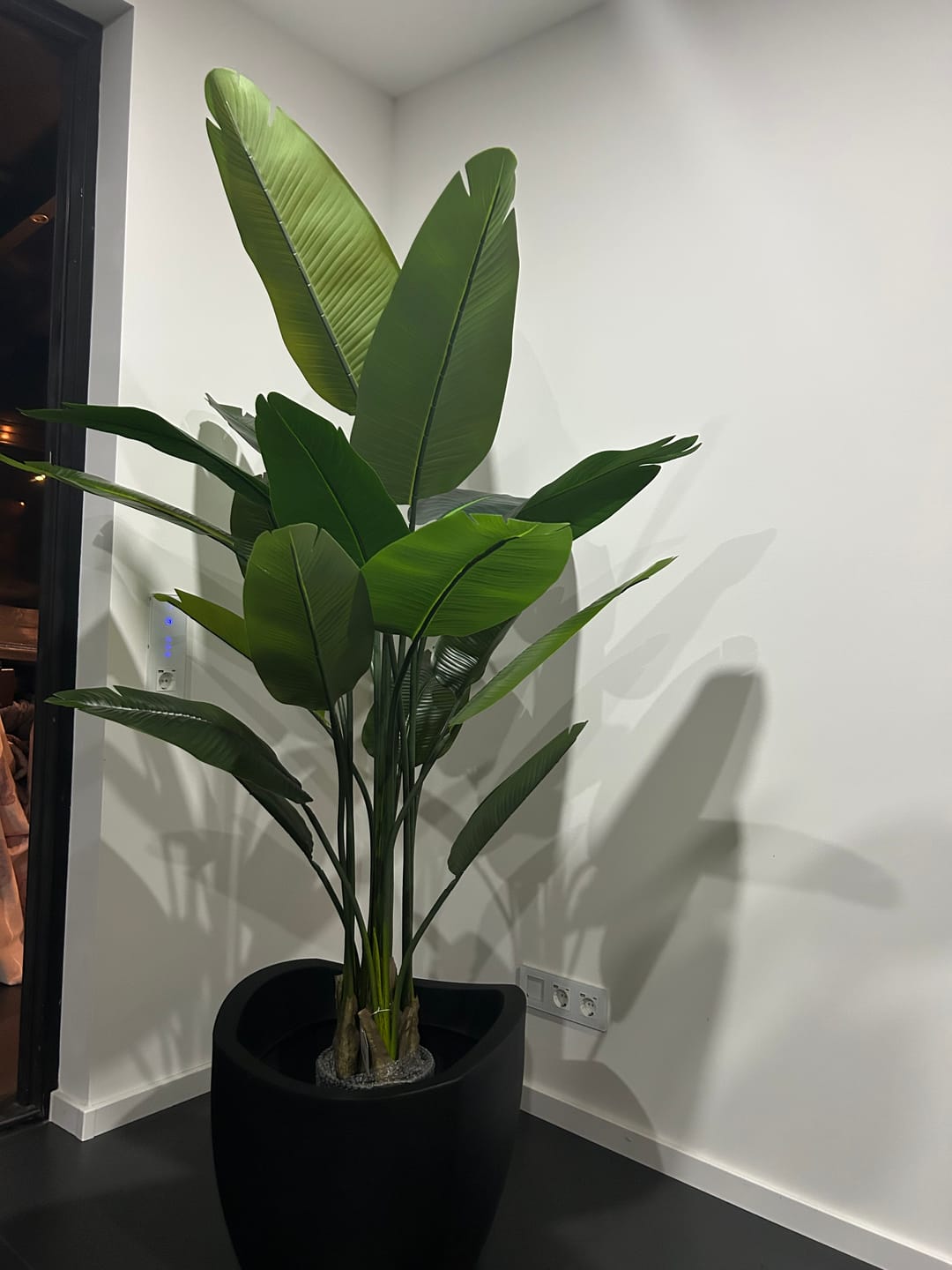 Customer photo review of Strelitzie Kunstpflanze 180cm