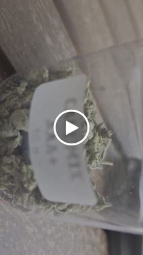 Customer video review of CALI MIX AAA+ – Premium Selection