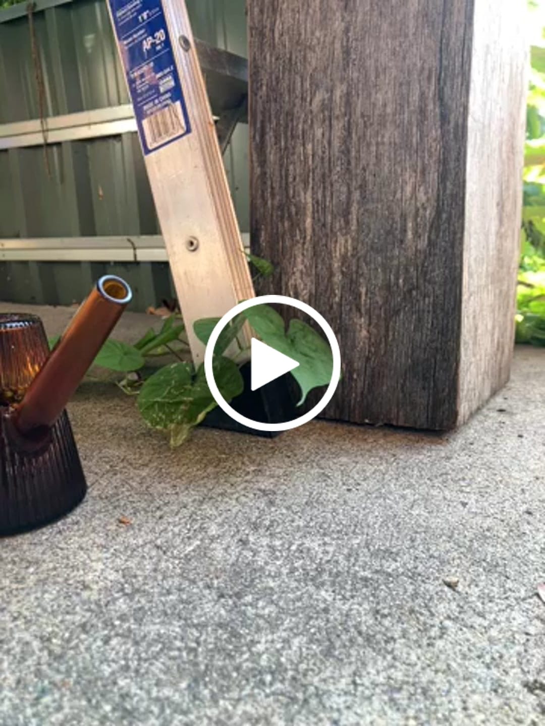 Customer video review of Vesper Bubbler