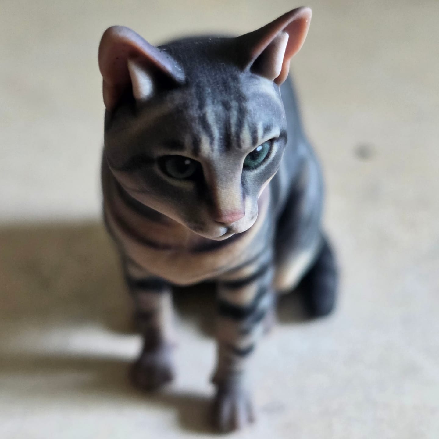 Customer photo review of Custom Pet Figurine from Photo - 3D Dog & Cat Keepsake