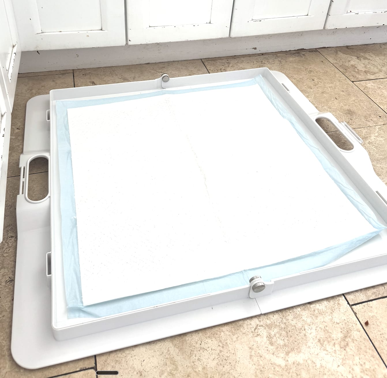 Customer photo review of Pee PAWD® Pee Pad holder