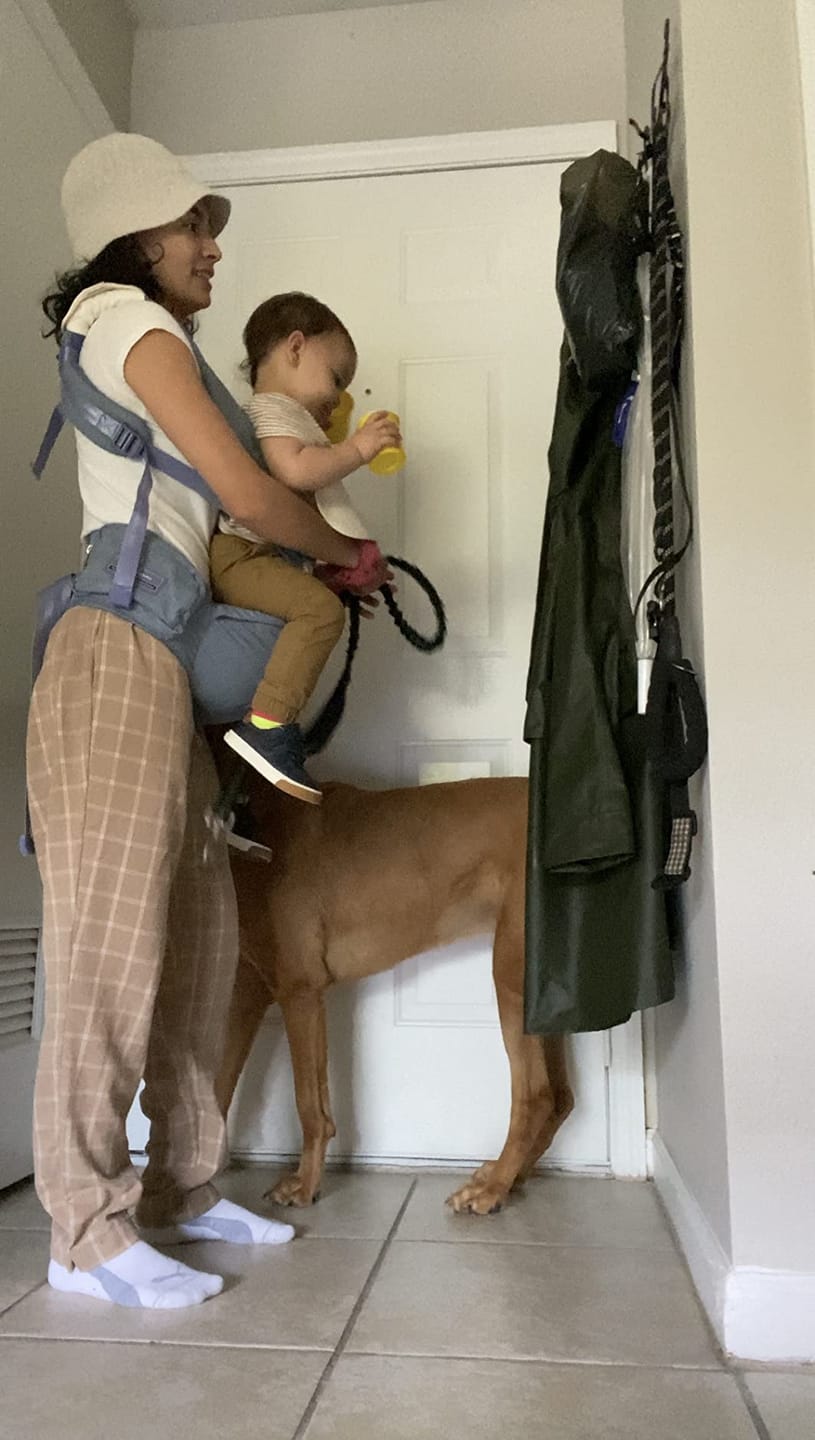 Customer photo review of Ashton ComfortCarry™ Baby Carrier
