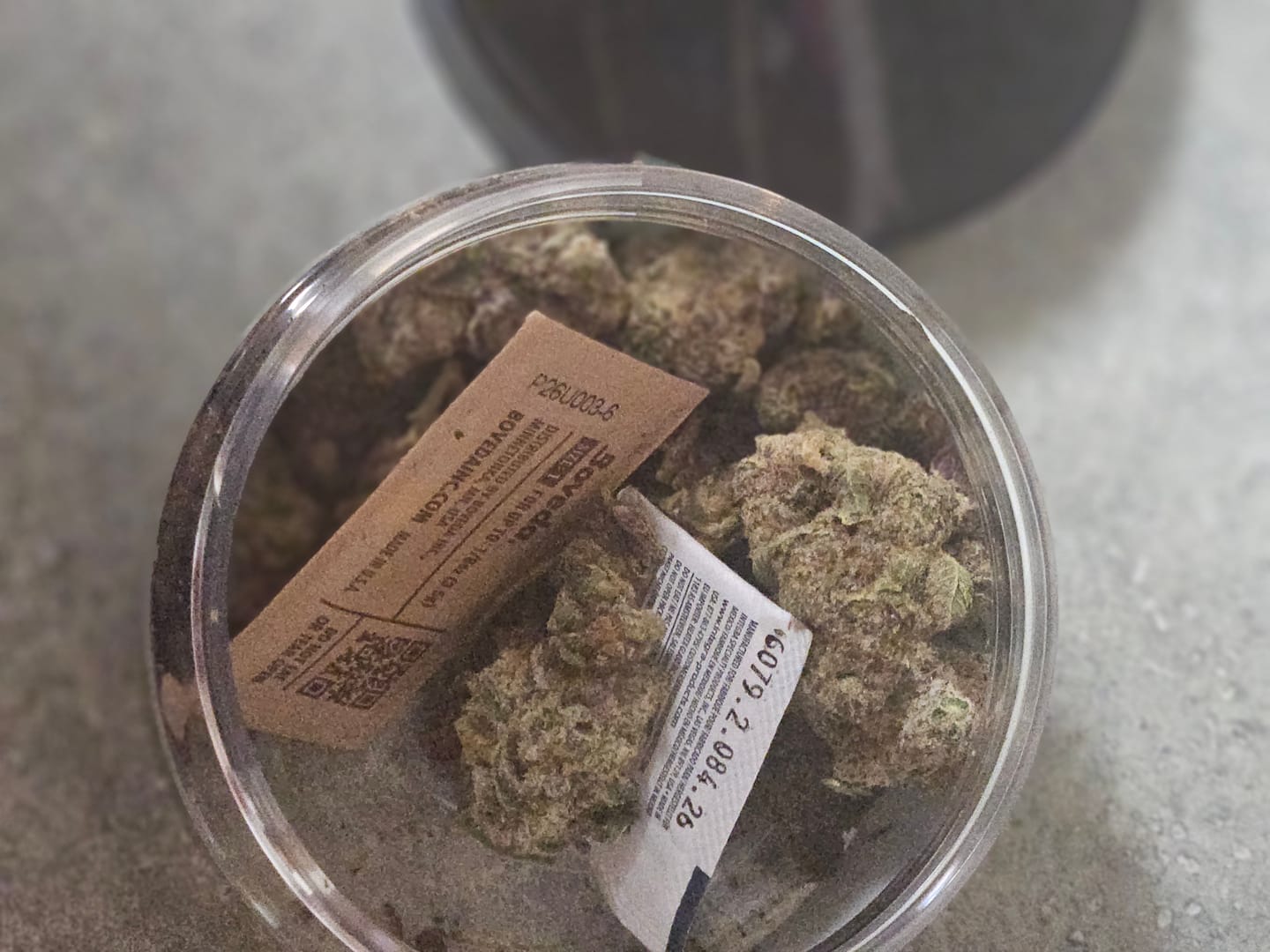 Customer photo review of Rainbow Inferno