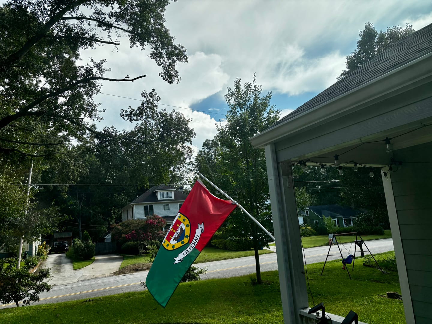 Customer photo review of Mayo County Crest Flag