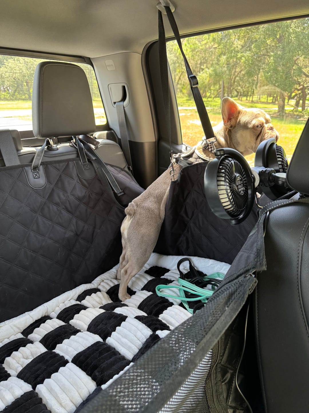 Customer photo review of Team K9® Plush Backseat Dog Bed (Fits Seat Cover)