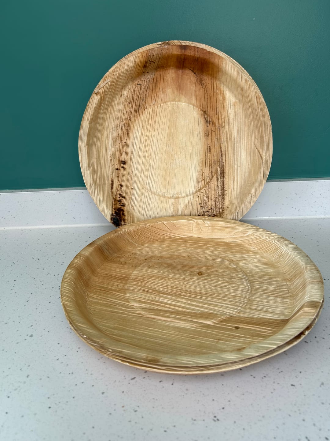 Customer photo review of 12" (30cm) Large Round Palm Leaf Compostable Plates
