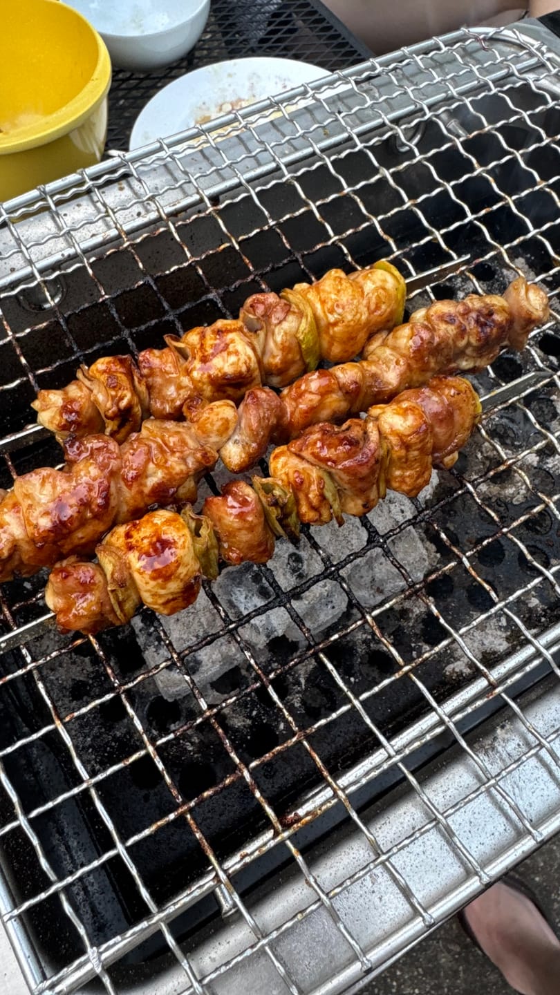 Customer photo review of Wire Mesh Grill