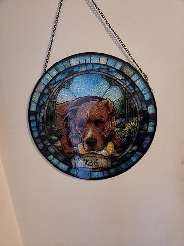 Customer photo review of Pawlight Portrait™ — Custom Pet Portrait