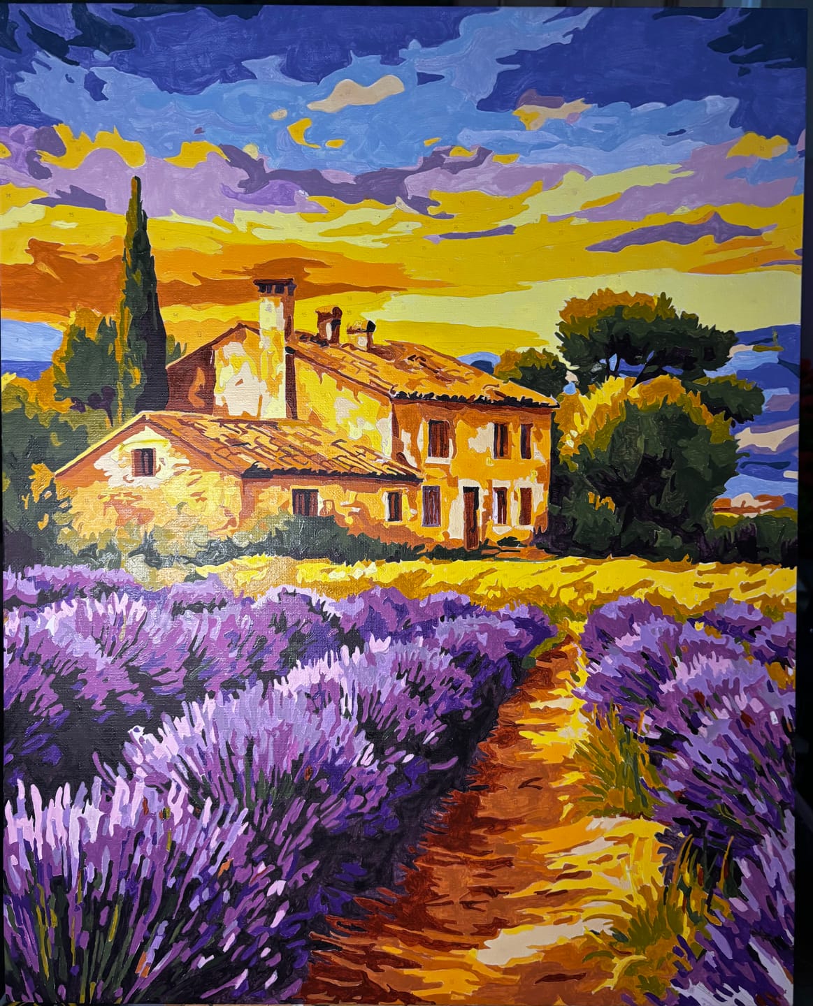 Customer photo review of Lavender field in France | Paint by Number