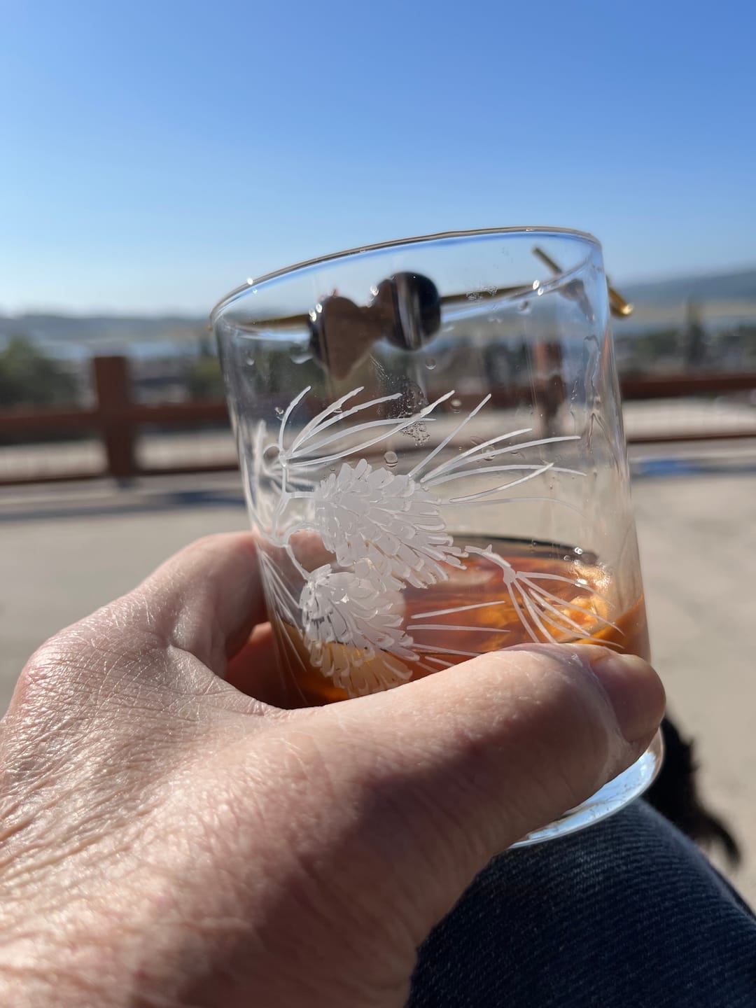 Customer photo review of Old Fashioned Kit (Bourbon)