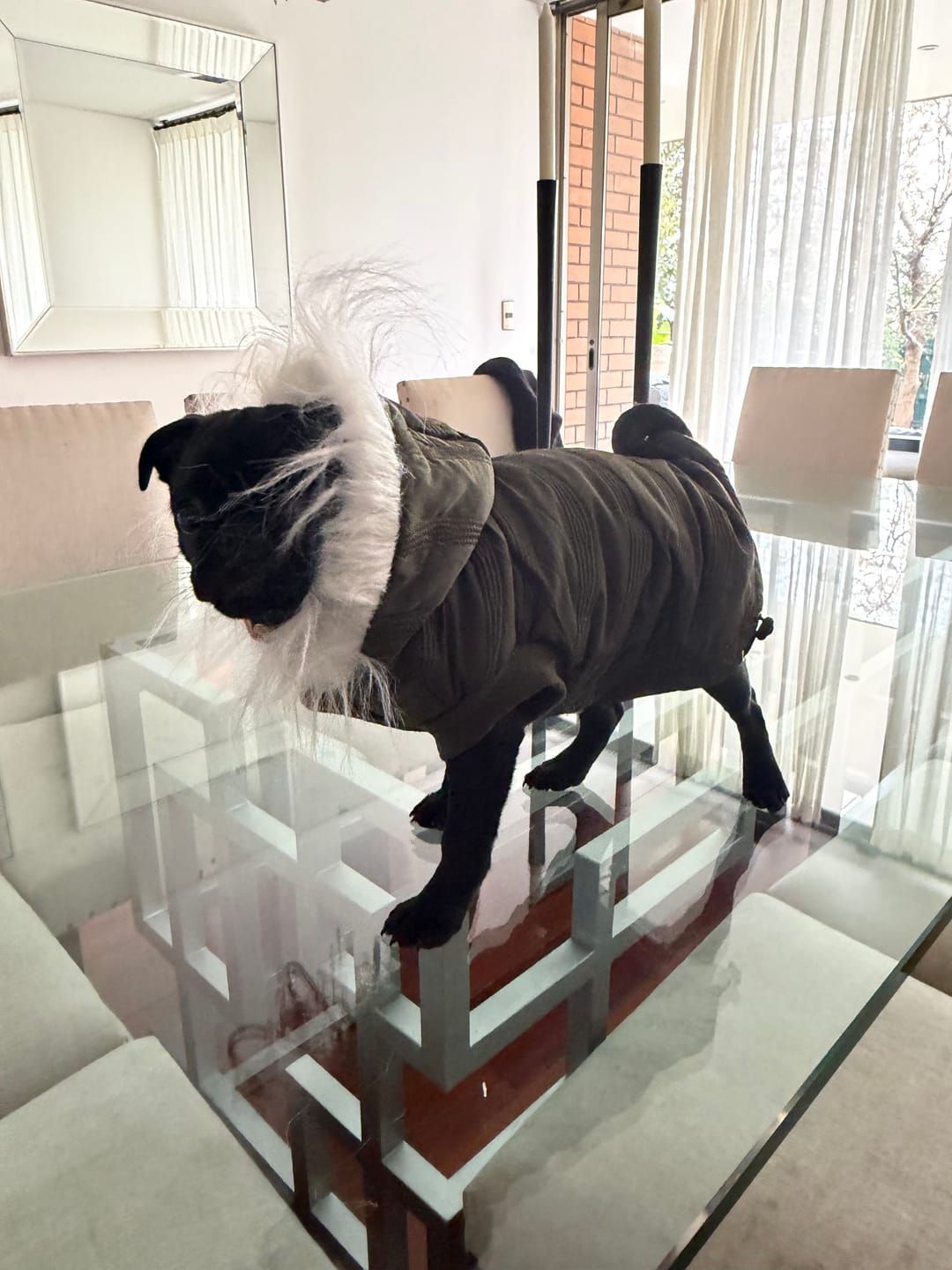 Customer photo review of Parka Daki Everest Verde Militar