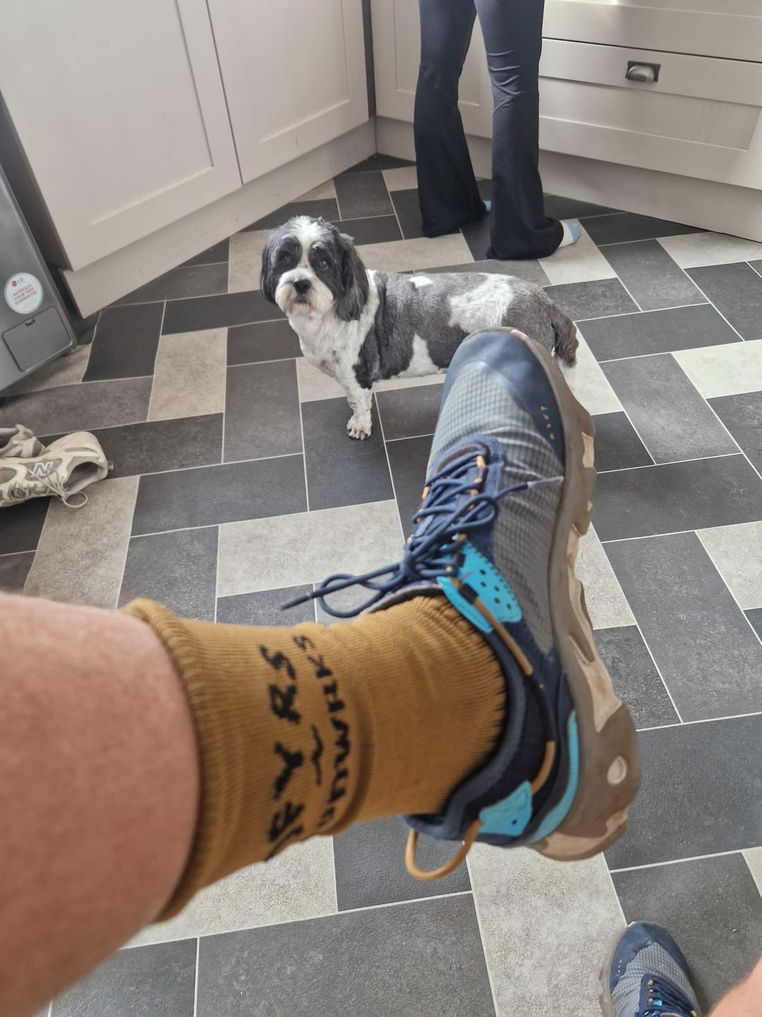 Customer photo review of Lucky Dip | Compression Shred Socks