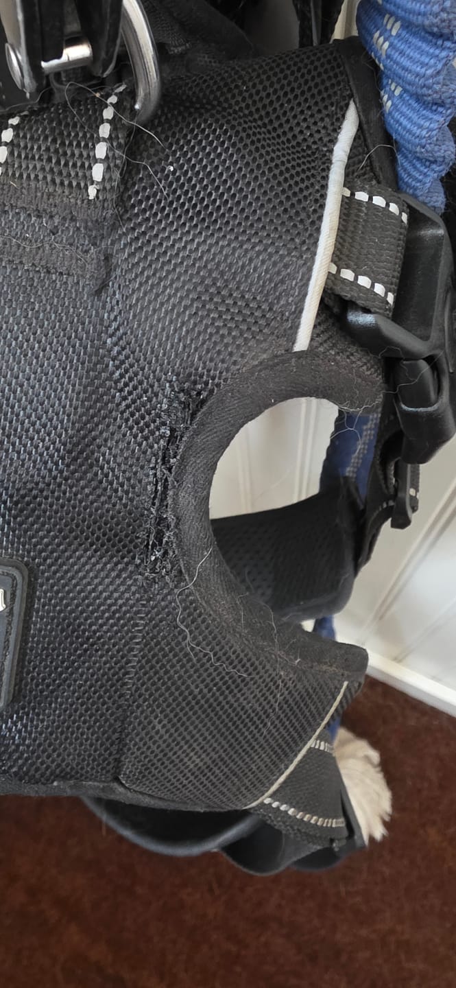 Customer photo review of HarnessPro - Escapeproof Verstelbaar Hondentuig