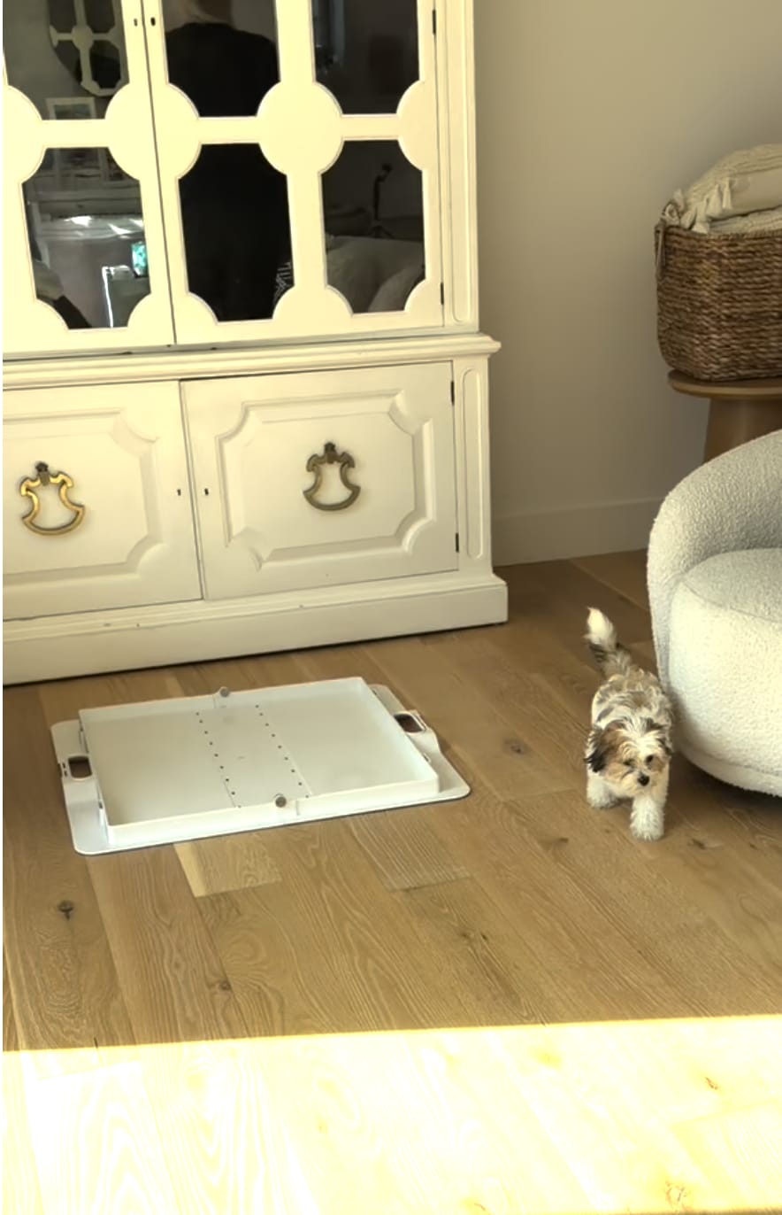 Customer photo review of Pee PAWD® Pee Pad holder