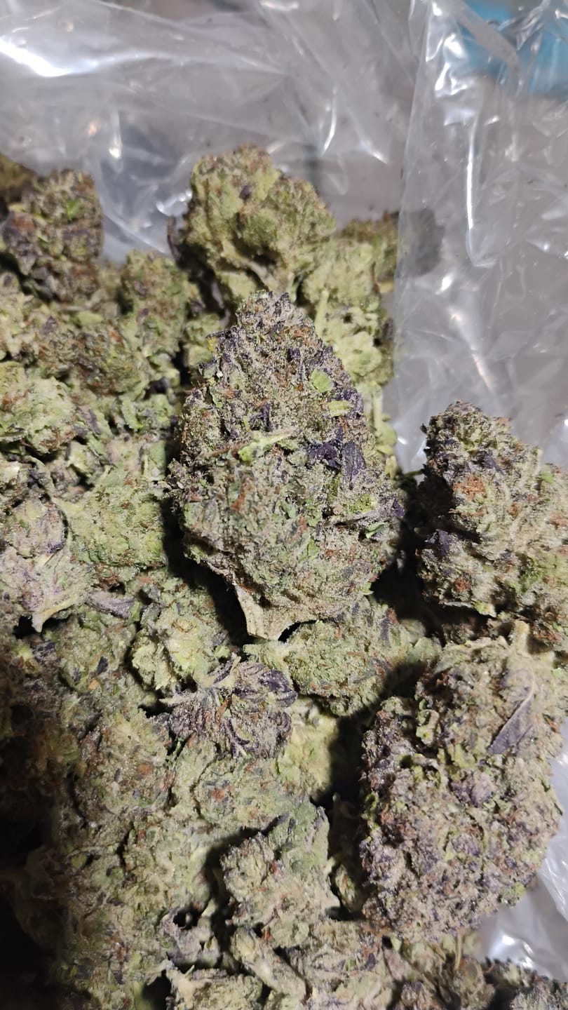 Customer photo review of Purple Octane - Bulk - Indica