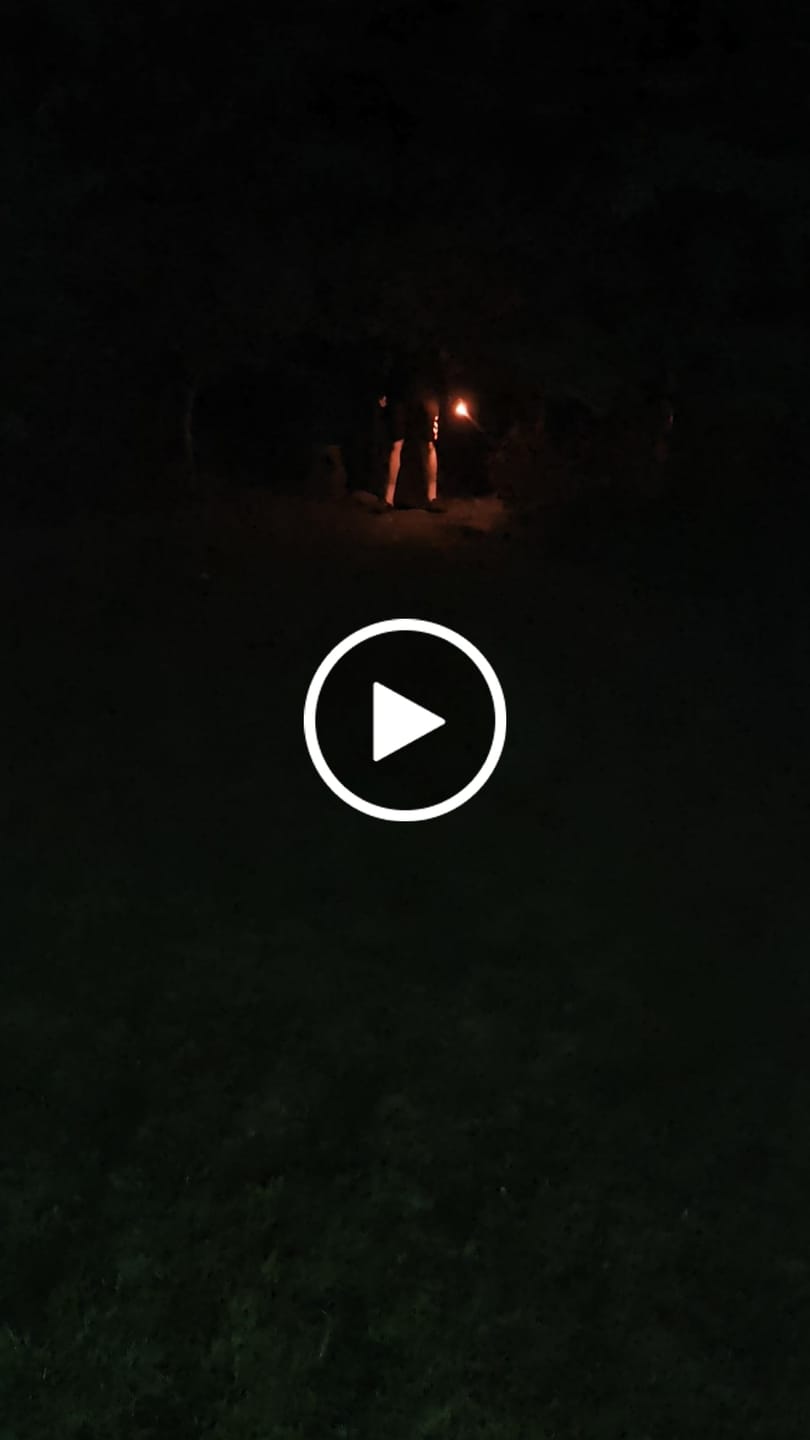 Customer video review of Ani | Saber