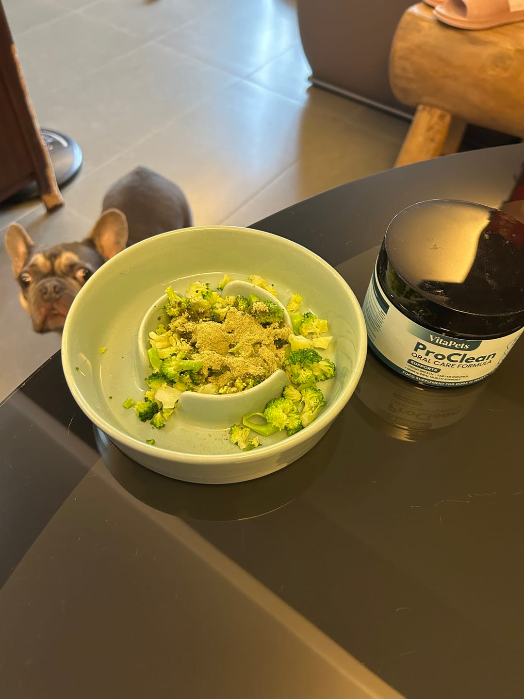 Customer photo review of ProClean™狗狗天然潔牙護齒配方