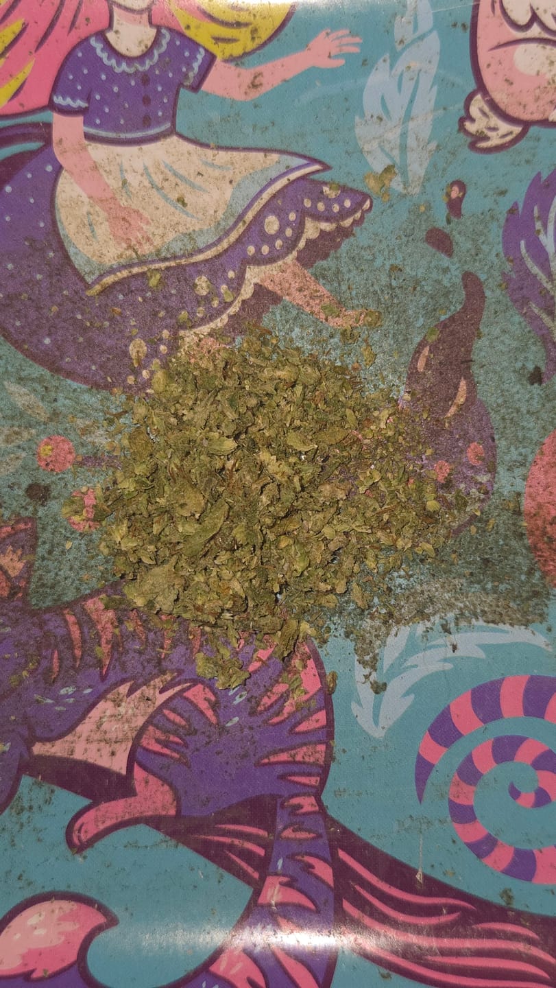 Customer photo review of Black Cherry Runtz - 28 Grams - Indica