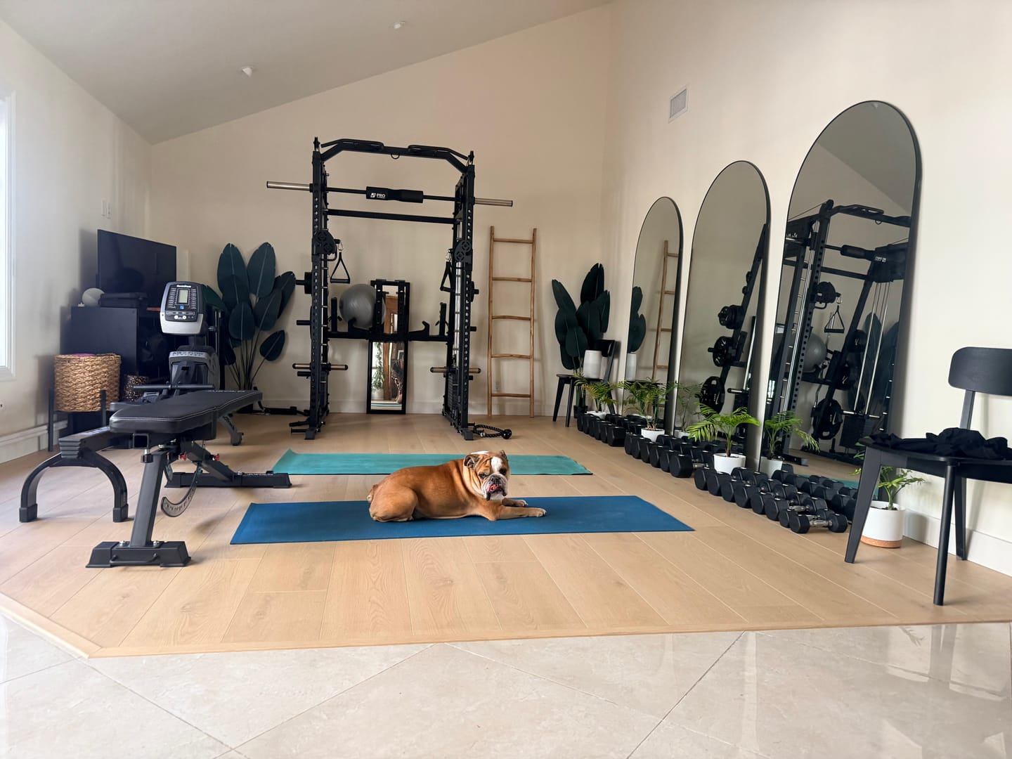 Customer photo review of M4-2.0 Elite All-In-One Workout Smith Gym Machine with Dual Weight Stacks (UPGRADED)