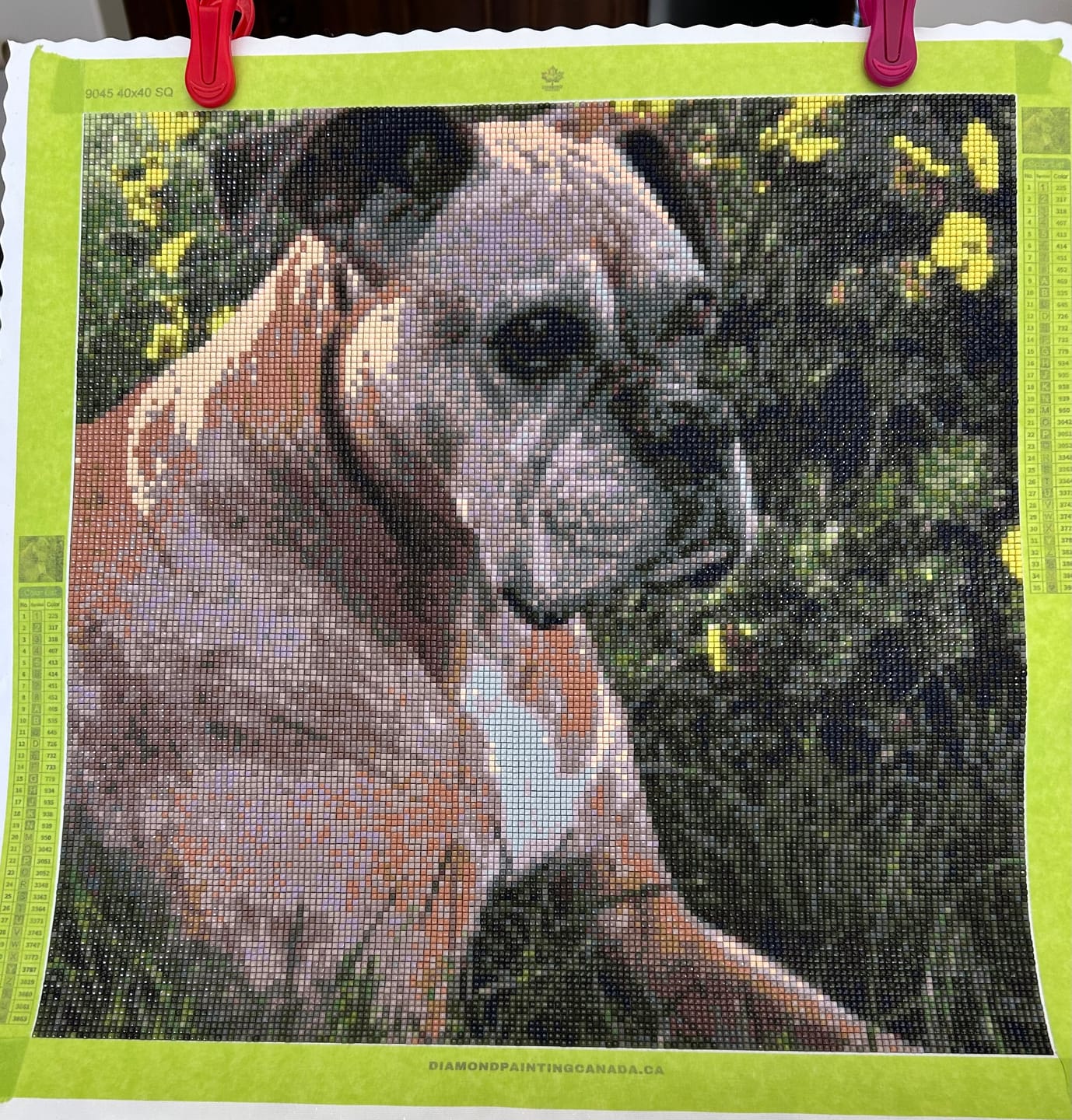 Customer photo review of Custom Diamond Painting
