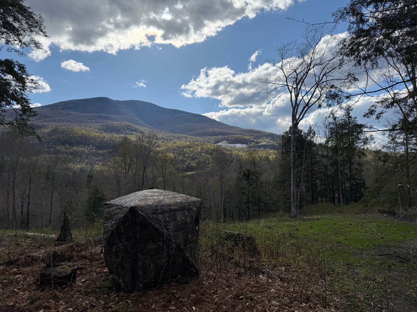 Customer photo review of FLASH SALE 270° See Through 1-2 Person Hunting Blind, Pop Up Ground Deer Blind