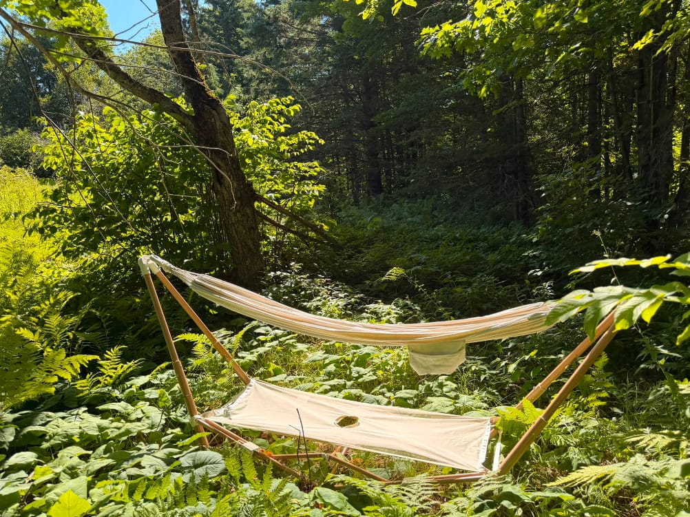 Customer photo review of The Go Hammock