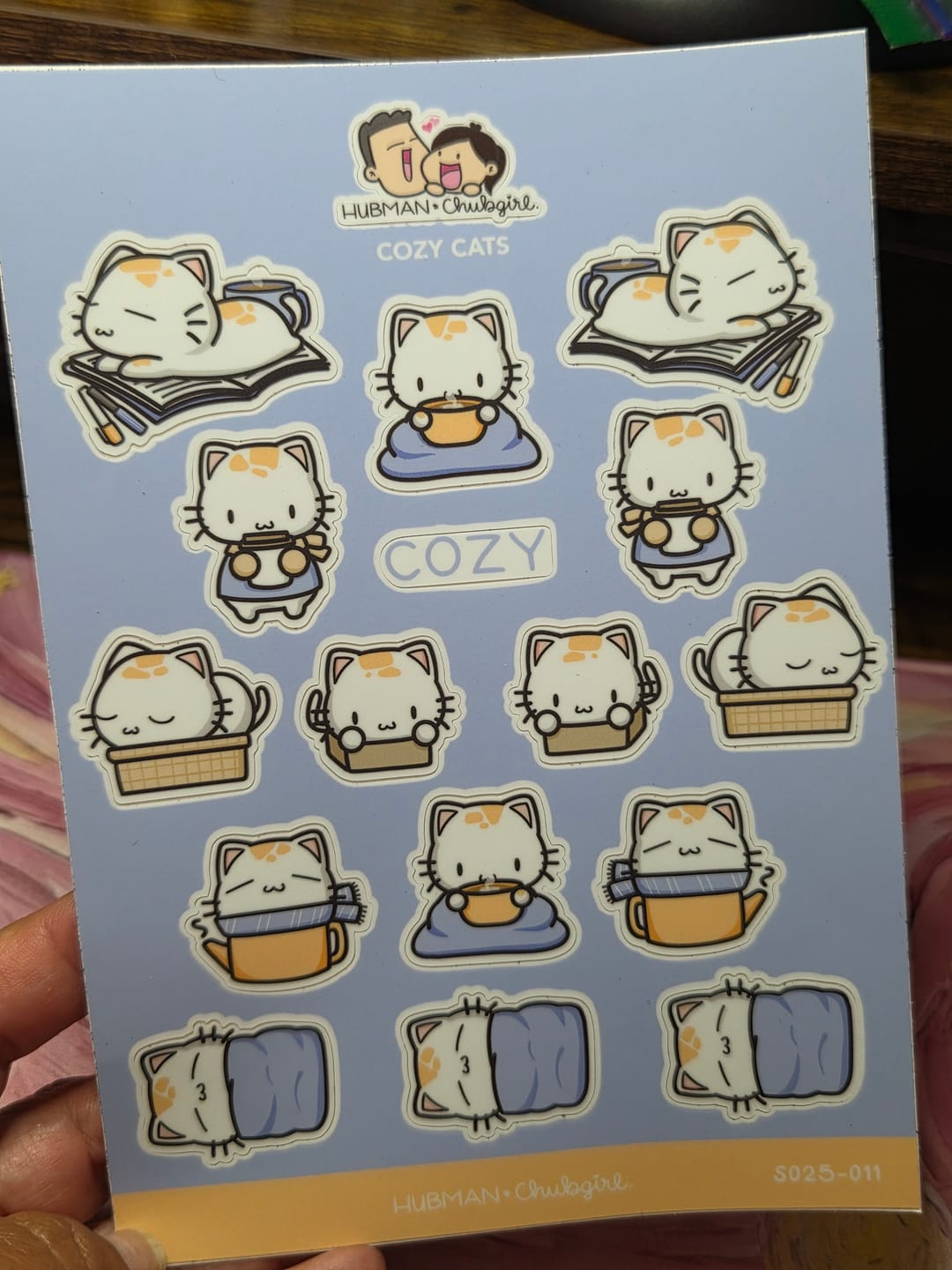 Customer photo review of Sticker Sheet - Cozy Cats