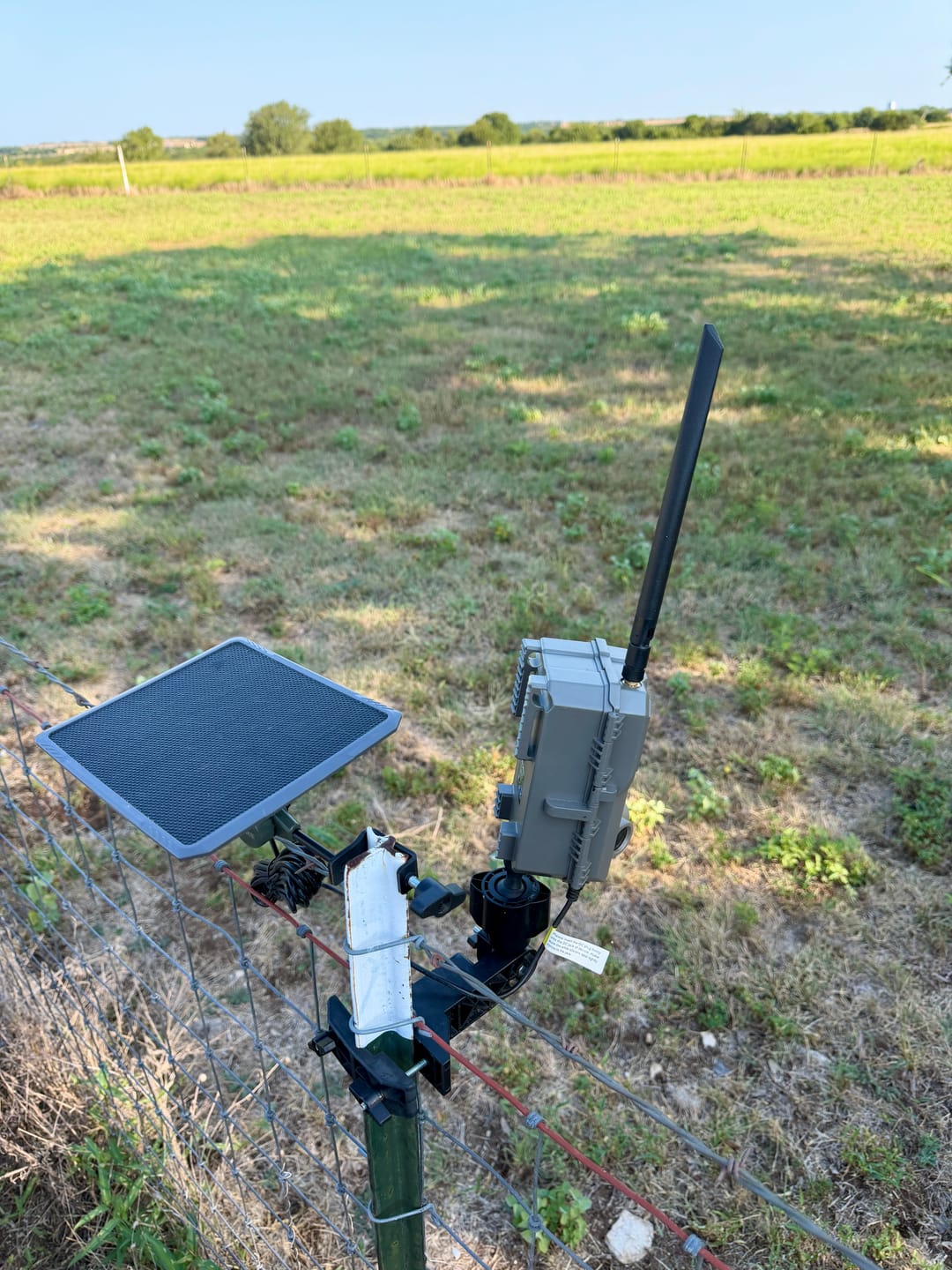 Customer photo review of GardePro Link 1.0 3000ft(1km) Long-Range Wireless Trail Camera
